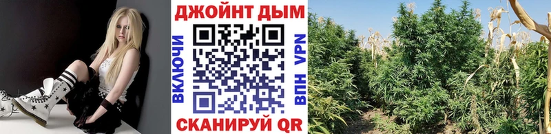 Купить наркотики сайты Старый Оскол ГАШ  COCAIN  АМФ  A-PVP  МАРИХУАНА  Меф 