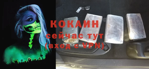 mdpv Краснослободск